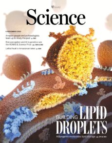 Science – Issue 6773, Volume 390, November 6, 2025
