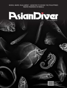 Scuba Diver – Asian Diver, Vol  171, 2025