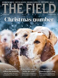 The Field UK – December 2025