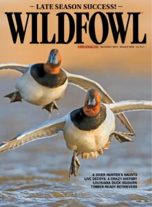 Wildfowl – December 2025-January 2026