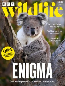 BBC Wildlife Magazine – January 2026