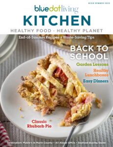 Bluedot Living Kitchen – High Summer, 2025