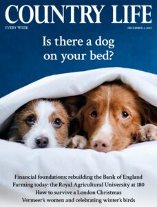 Country Life UK – December 3, 2025