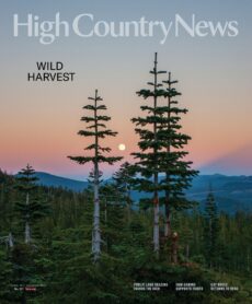 High Country News – December 2025