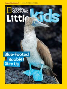 National Geographic Little Kids USA – January-February 2026