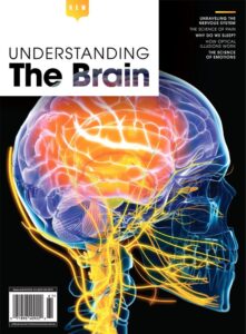 Understanding – The Brain, 2025