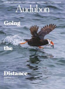 Audubon – Winter 2025