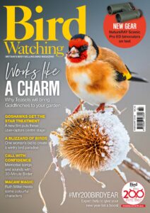 Bird Watching UK – February 2026