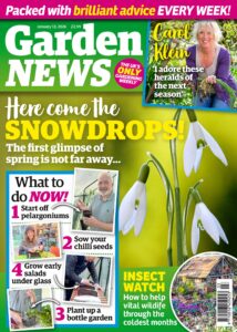 Garden News – 13 January 2026