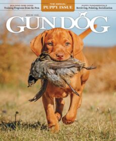 Gun Dog – Spring 2026
