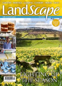 Landscape UK – March 2026