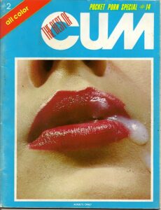 Pocket Porn Special 14