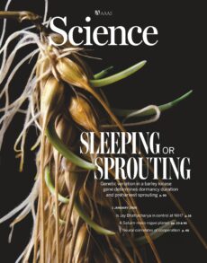 Science – Issue 6780, Volume 391, January 1, 2026