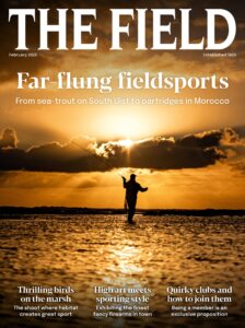 The Field UK – February 2026