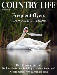 Country Life UK – February 18, 2026