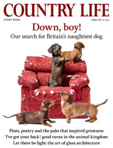Country Life UK – February 25, 2026