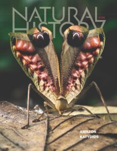 Natural History – February 2026