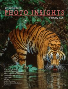 Photo Insights – February 2026