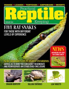 Practical Reptile Keeping – February 2026