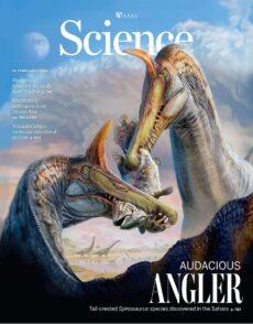 Science – Issue 6787, Volume 391, February 19, 2026