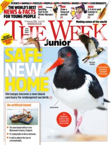 The Week Junior UK – Issue 531, 13 February 2026