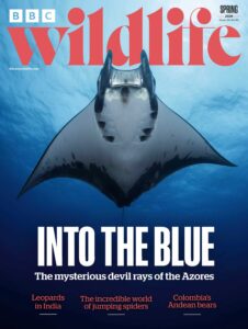 BBC Wildlife Magazine – Spring 2026
