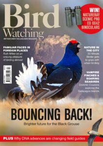 Bird Watching UK – April 2026