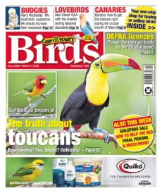 Cage & Aviary Birds – March 11, 2026