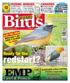Cage & Aviary Birds – March 18, 2026