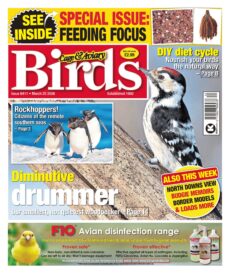 Cage & Aviary Birds – March 25, 2026