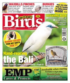 Cage & Aviary Birds – March 4, 2026