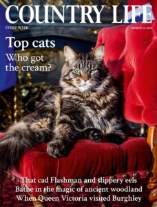 Country Life UK – March 25, 2026