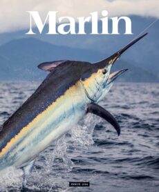 Marlin – March-April 2026