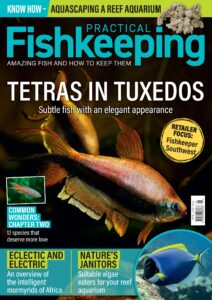 Practical Fishkeeping – April 2026