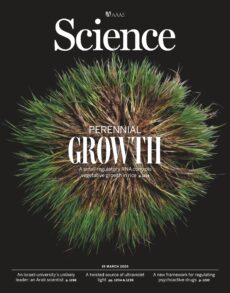 Science – Issue 6791 Volume 391, March 19, 2026