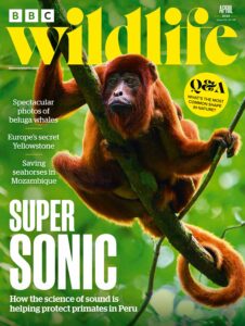BBC Wildlife Magazine – April 2026