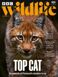 BBC Wildlife Magazine – March 2026