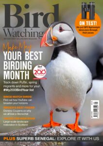 Bird Watching UK – May 2026