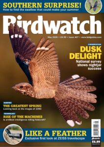 Birdwatch UK – May 2026