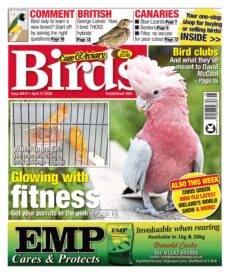 Cage & Aviary Birds – April 15, 2026