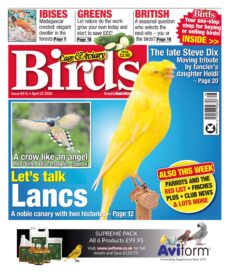Cage & Aviary Birds – April 22, 2026