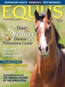 Equus – Spring 2026