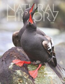 Natural History – April 2026