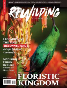 REWILDING Southern Africa – Vol 4 Issue 1, 2026