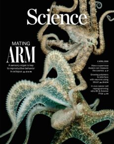 Science – Issue 6793 Volume 391, April 02, 2026