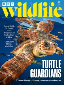 BBC Wildlife Magazine – May 2026