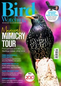 Bird Watching UK – June 2026