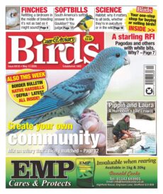 Cage & Aviary Birds – May 13, 2026