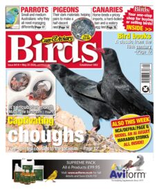 Cage & Aviary Birds – May 20, 2026