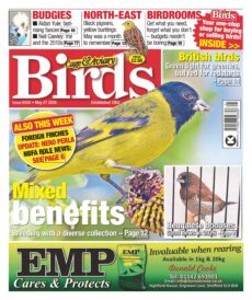 Cage & Aviary Birds – May 27, 2026